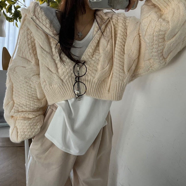 Autumn Leisure Long-sleeve Zipper Hooded Sweater - Jo-Bolt-Store