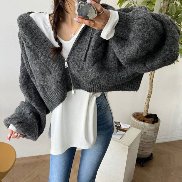 Autumn Leisure Long-sleeve Zipper Hooded Sweater - Jo-Bolt-Store
