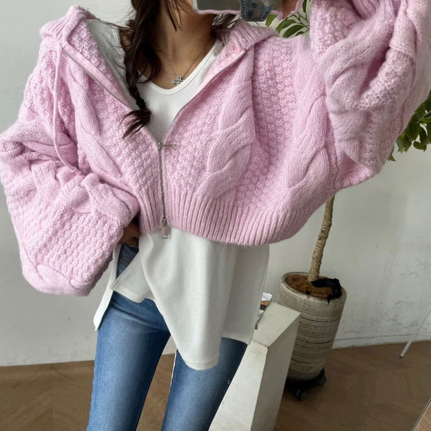Autumn Leisure Long-sleeve Zipper Hooded Sweater - Jo-Bolt-Store