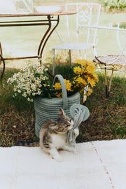 Decorative Basket Watering Can