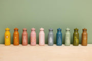 Stainless Steel Bottle 500 ml - Mr. Triceratops