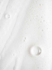 TRAVEL SIZE Linden Flower Shampoo With Nordic Birch Extract - 100ml
